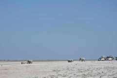 13-aug-to-Etosha-3